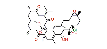 Ximaolide B